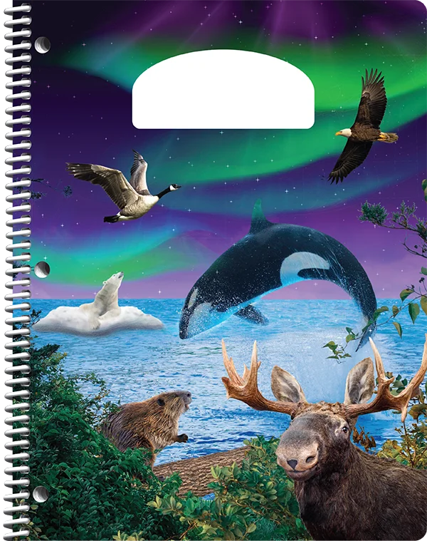 First Class Planners Standard front cover - Borealis